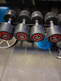 Palestra manubri