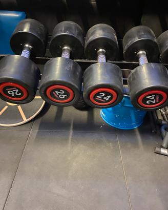 Palestra manubri