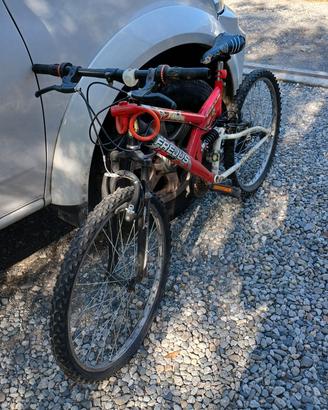 Bicicletta