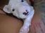 Immagine 1