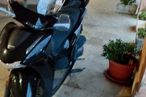 Honda sh 350
