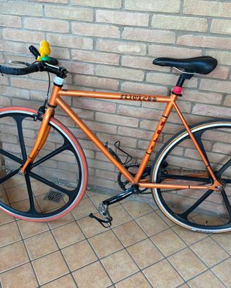Bici fissa Fuji
