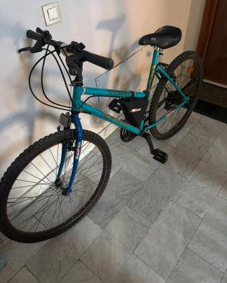 Bicicletta