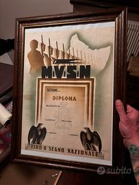 Diploma mvsn