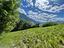 Immagine 21