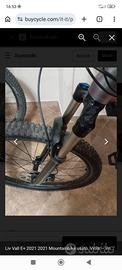 e- Mountain bike 