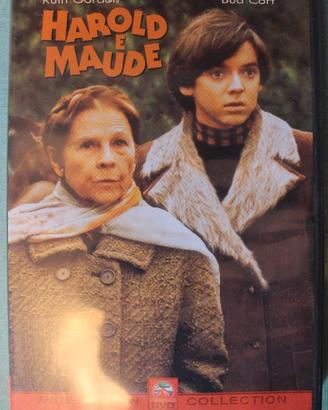 Film DVD - HAROLD E MAUDE