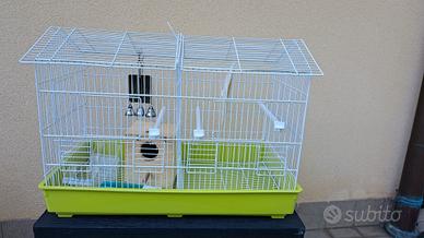 Gabbia uccelli
