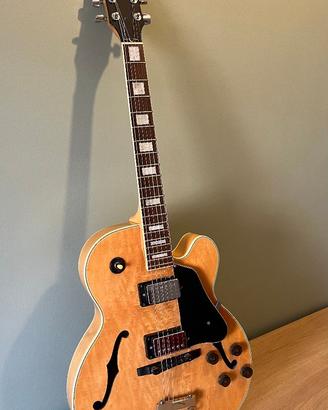 Chitarra Ibanez FG 100 semiacustica + Sustain MXR