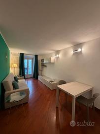 Ampio Bilocale Ristrutturato completamente Wagner