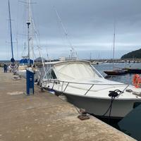 Barca a motore fischerman