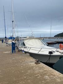 Barca a motore fischerman