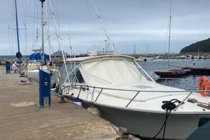 Barca a motore fischerman