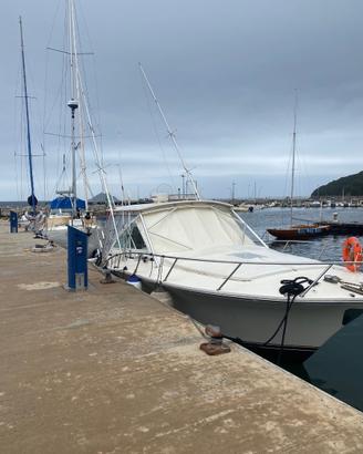 Barca a motore fischerman