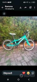 bicicletta bambina 20pollici