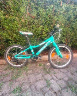 bicicletta bambina 20pollici