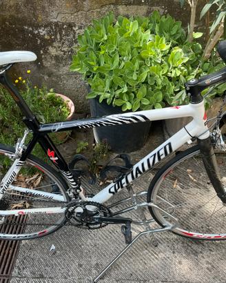 Bici corsa specialized allez s works cipollini bdc