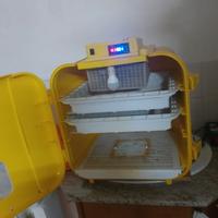 Incubatrice  Cova tutto 108