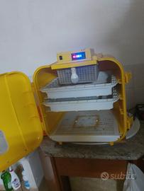 Incubatrice  Cova tutto 108