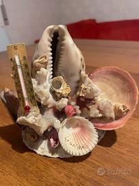 Conchiglie con termometro per ambienti