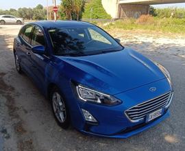 FORD Focus 1.5 EcoBlue 120 CV 5p. Business
