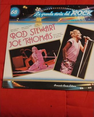 Collezione di 100 vinili della " storia del rock'