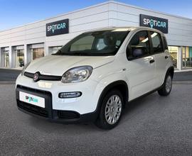 FIAT Panda 1.0 FireFly 70cv S&S Hybrid Pandina