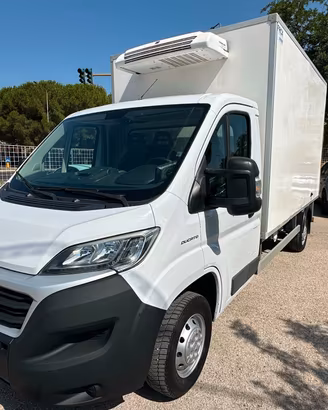 FIAT DUCATO FRIGO CABINATO + SPONDA IDRAULICA