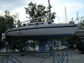 Vela Stag 29