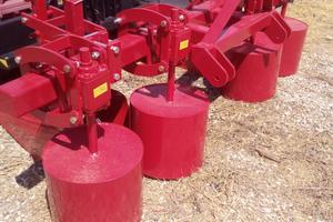 andanatori pomodori nuovi