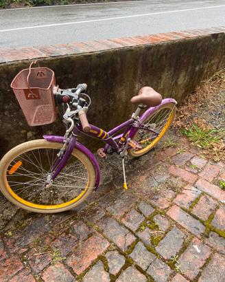 Bicicletta
