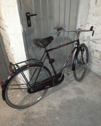 Bici Bottecchia ruota 26