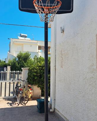 canestro basket