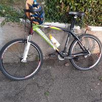 Bici botecchia