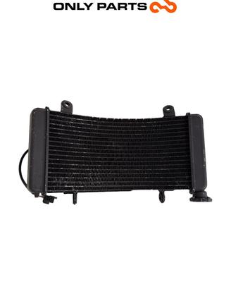 Radiatore Acqua + Ventola KTM Super Duke 990 2006