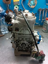 Motore go kart vortex dvs OK senior 