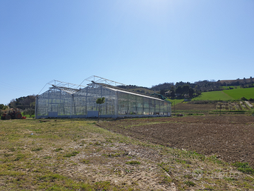 Serra vetro fissa-uscita A14 -vendit e lavorazione