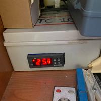 STC 1000 temperatura acquario