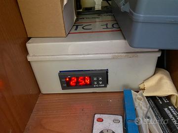 STC 1000 temperatura acquario