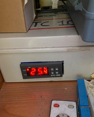 STC 1000 temperatura acquario