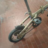 Bicicletta pieghevole