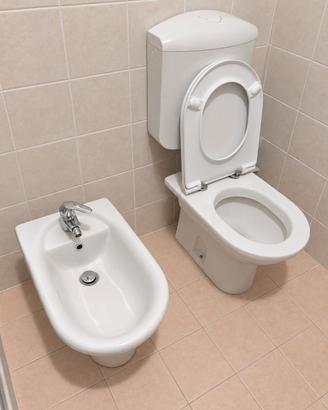 Coppia sanitari ideal standard