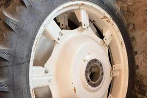 Gomme da diserbo