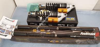 Triumph street scrambler kit ohlins mono cartucce