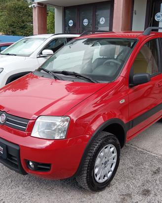 Fiat Panda 1.3 MJT 70CV 4X4 PERFETTA