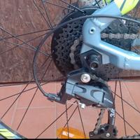 Bicicletta con pedalata assistita