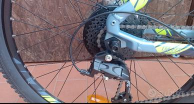 Bicicletta con pedalata assistita