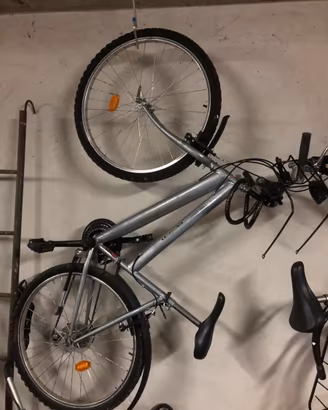 Bicicletta Mountain Bike