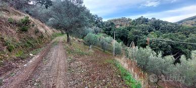 Rif.RI255- terreno agricolo catanzaro