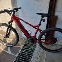 Bici elettrica